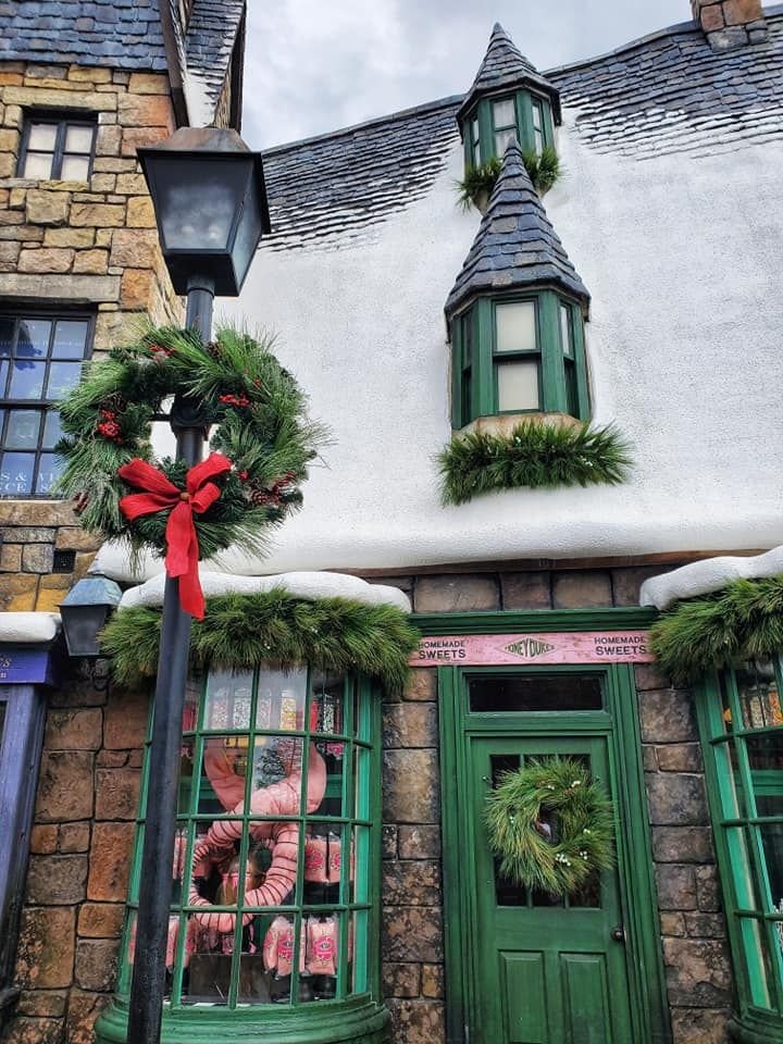 How to Plan a Disney & Universal Vacation in 2025 hogsmease christmas